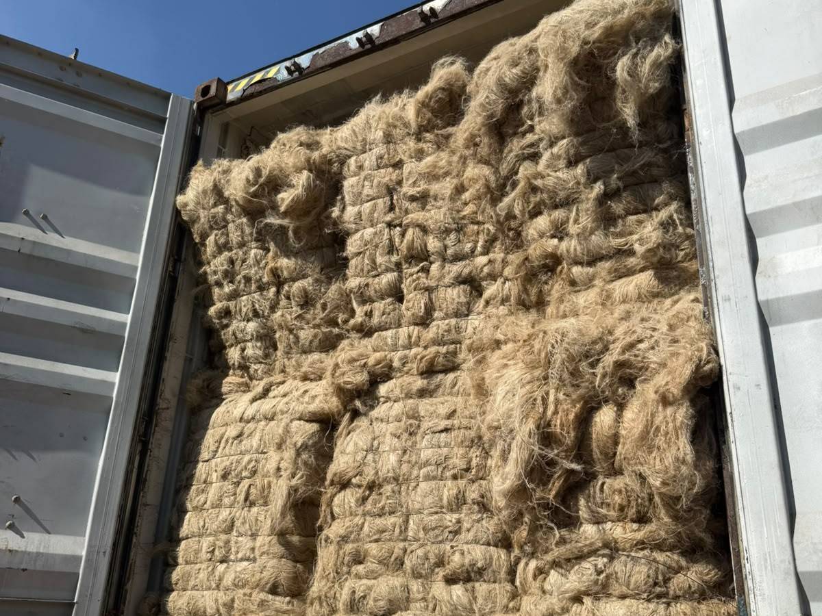Flax bales stacked inside a shipping container